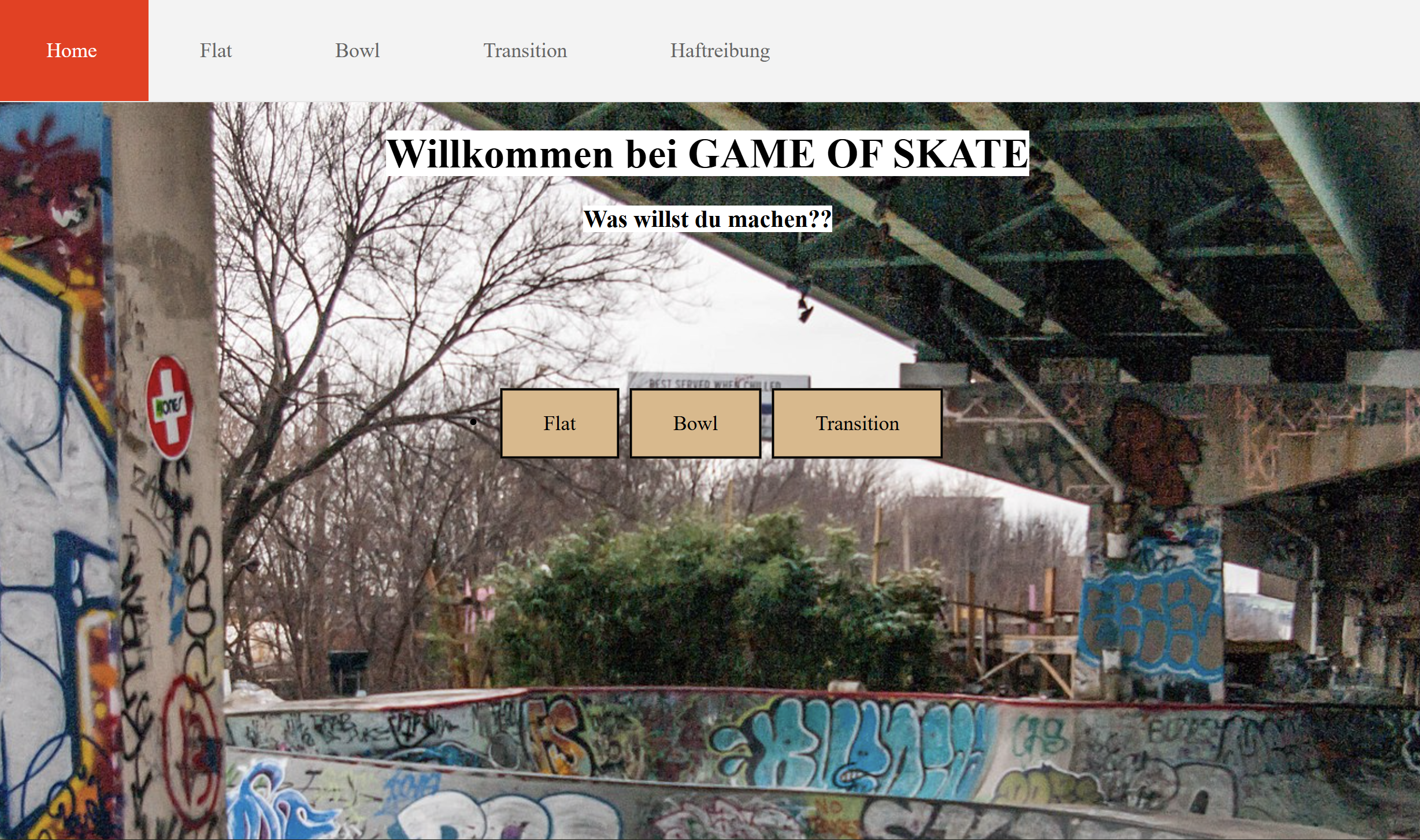 Screenshot Projekt 1